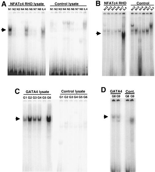 FIG. 5.