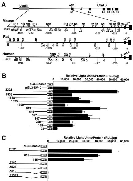 FIG. 1.