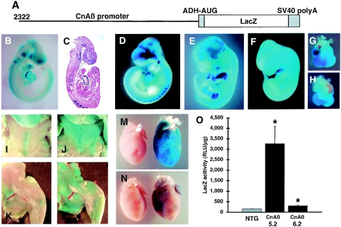 FIG. 6.