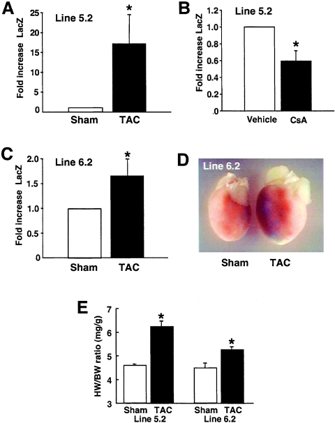 FIG. 7.