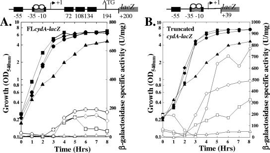 FIG. 5.