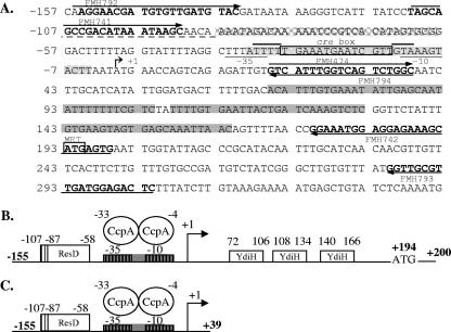 FIG. 1.