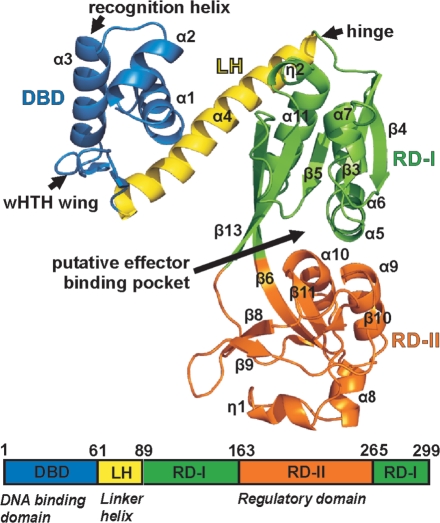 Figure 1.