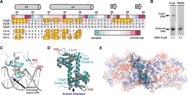 Figure 6.