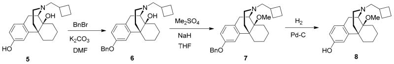 Scheme 1