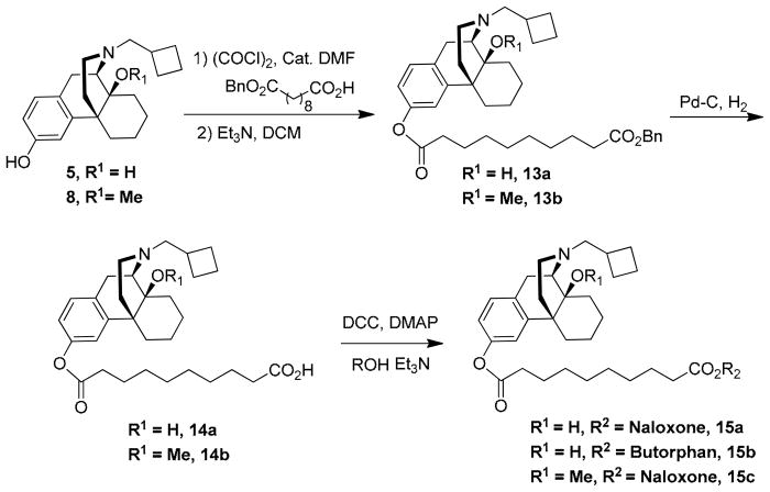 Scheme 3