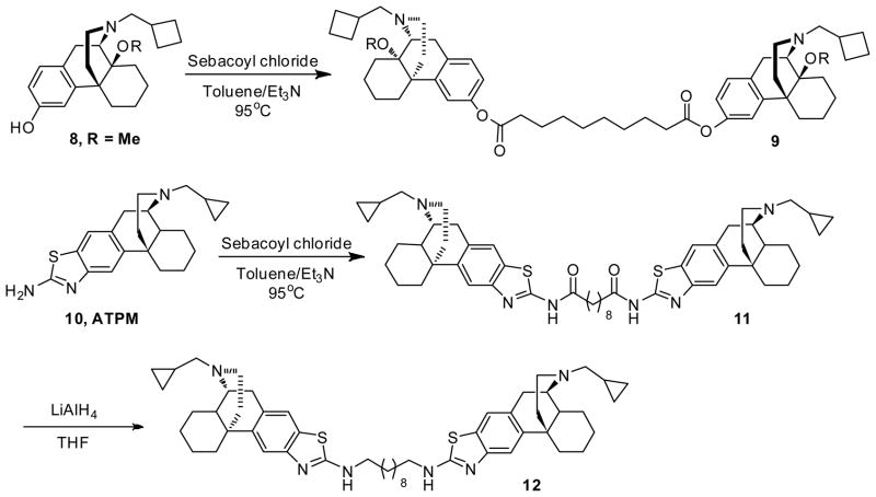 Scheme 2