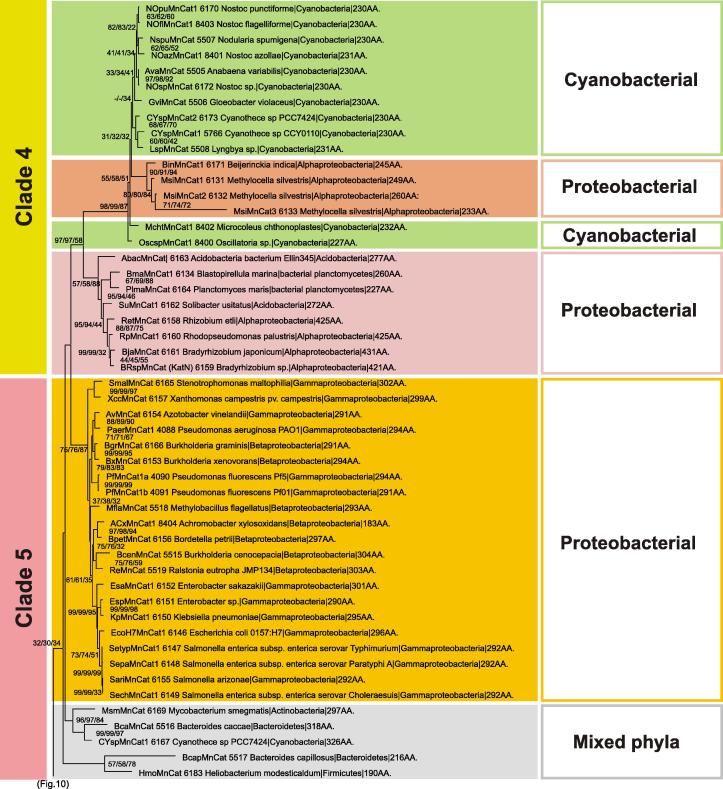 Fig. 11