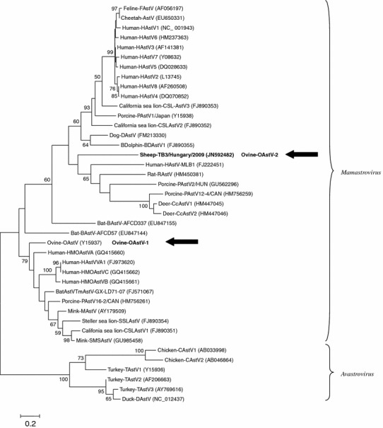 Fig. 2