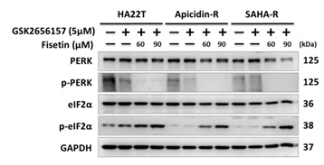 graphic file with name cancers-12-03241-i002.jpg