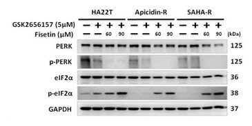 graphic file with name cancers-12-03241-i001.jpg