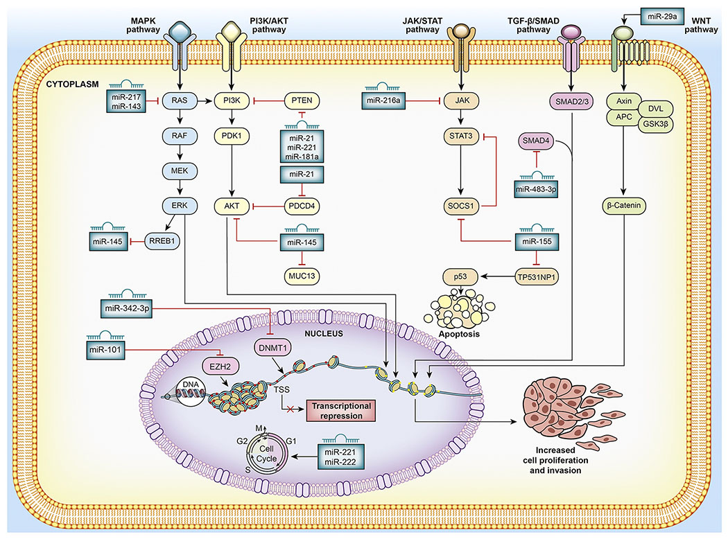 Figure 3: