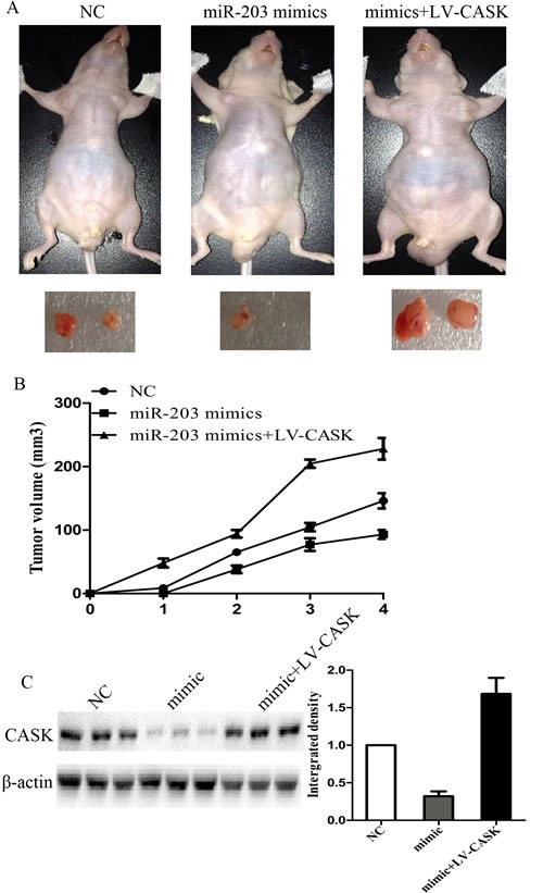 Figure5