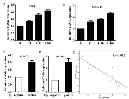 Figure6