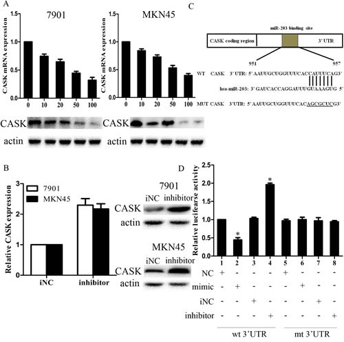 Figure3