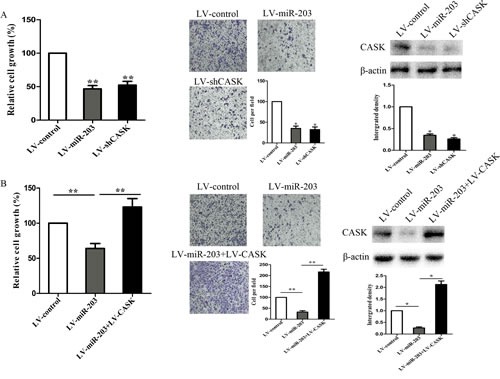 Figure4