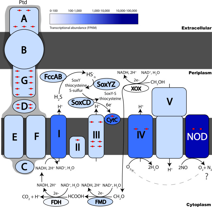 Fig 3