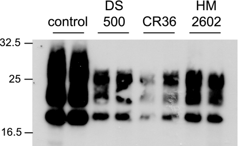 FIG. 6.