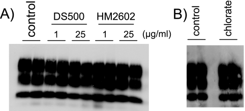 FIG. 5.