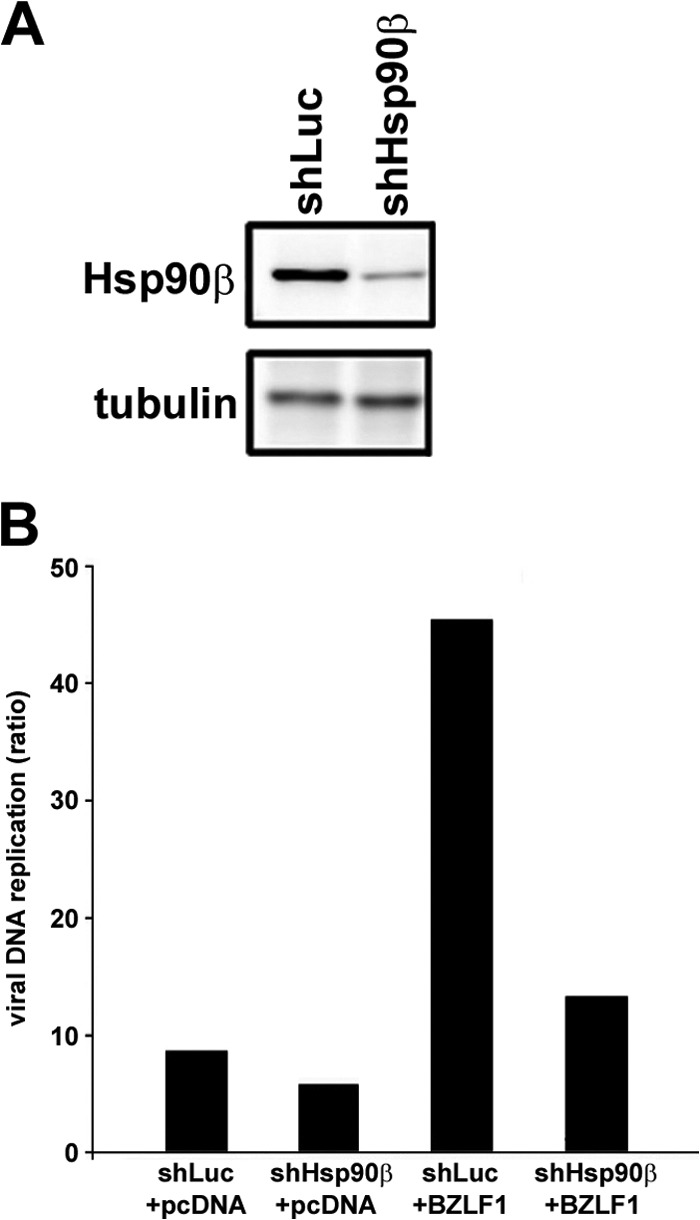 Fig 7