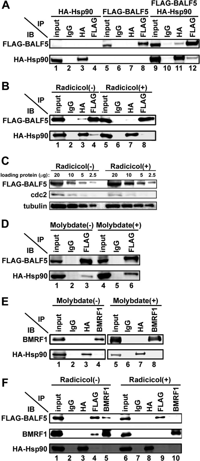 Fig 5