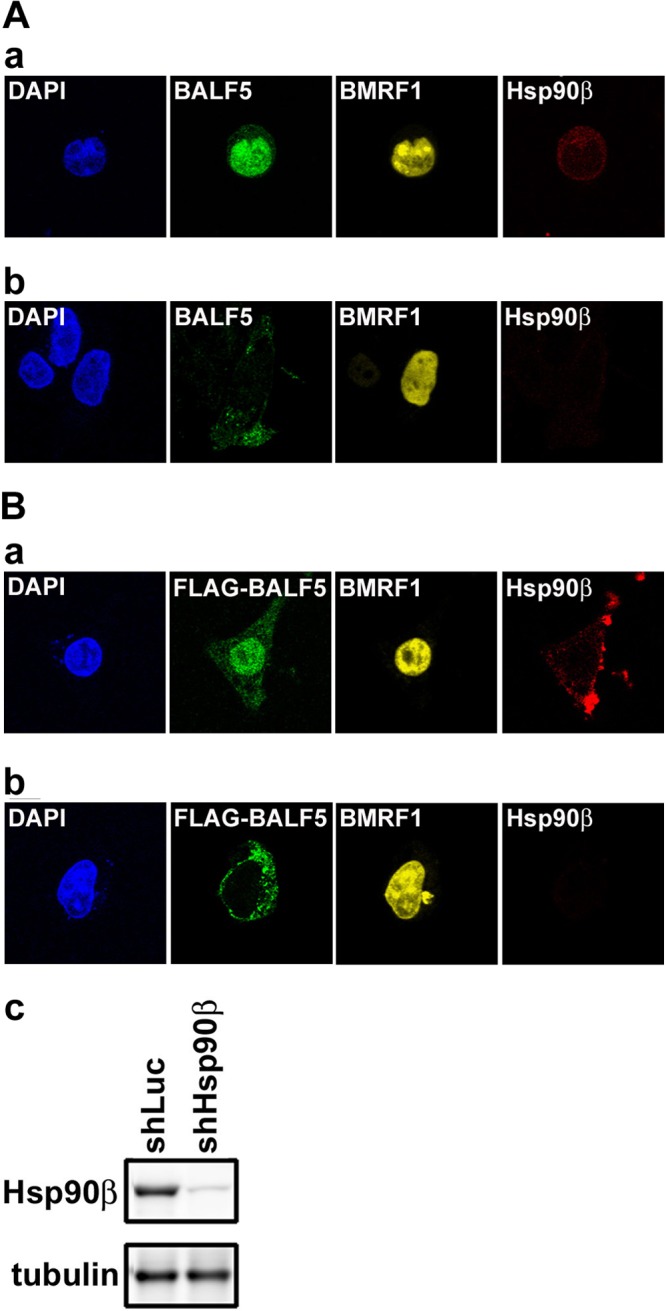 Fig 8