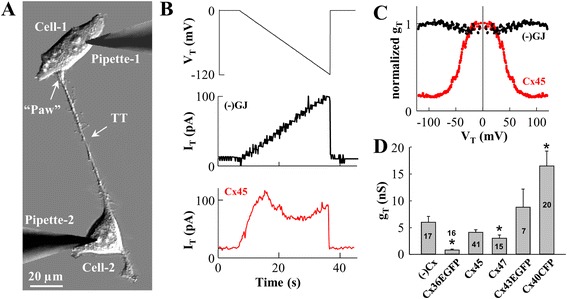 Fig. 4