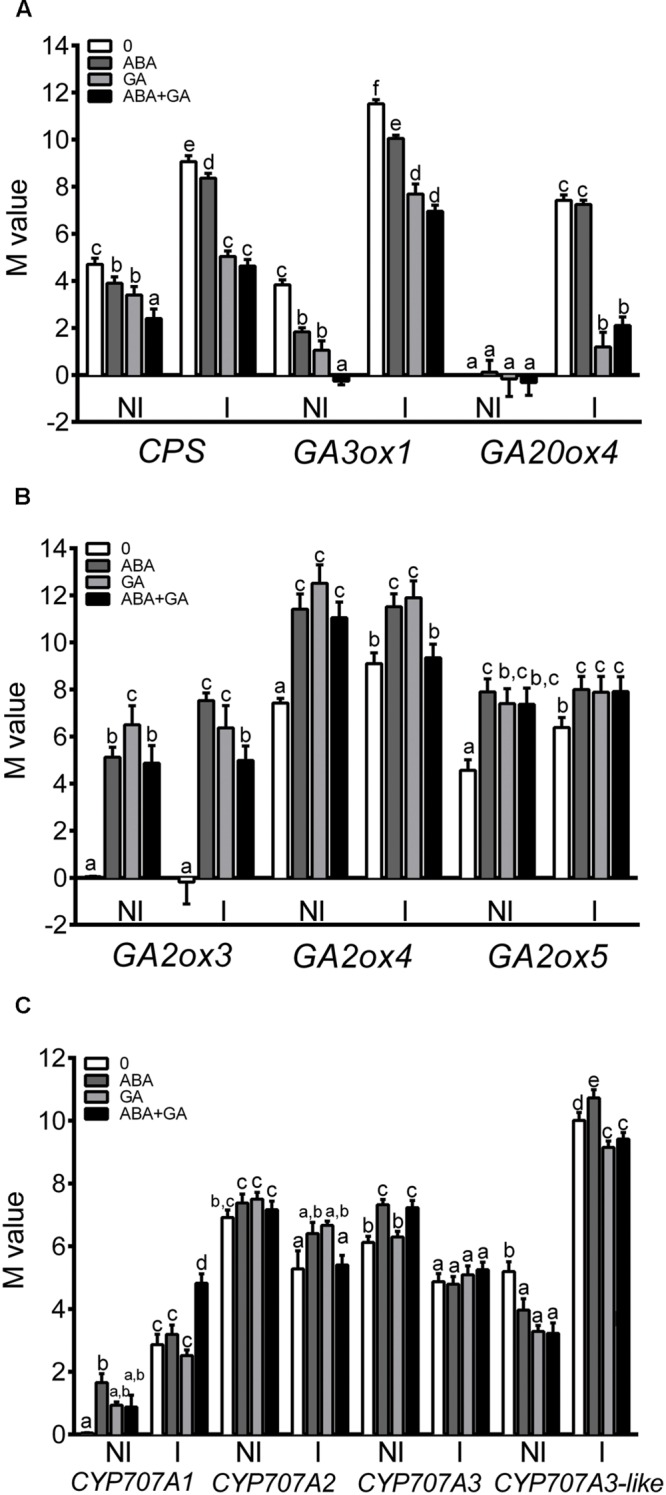 FIGURE 4