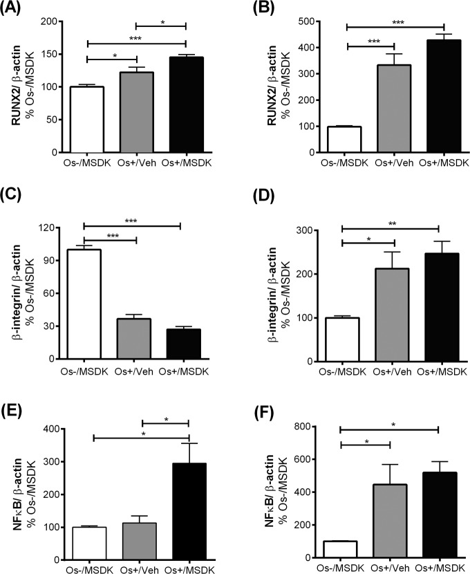 Figure 10A-F