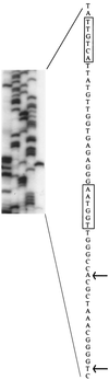 FIG. 6