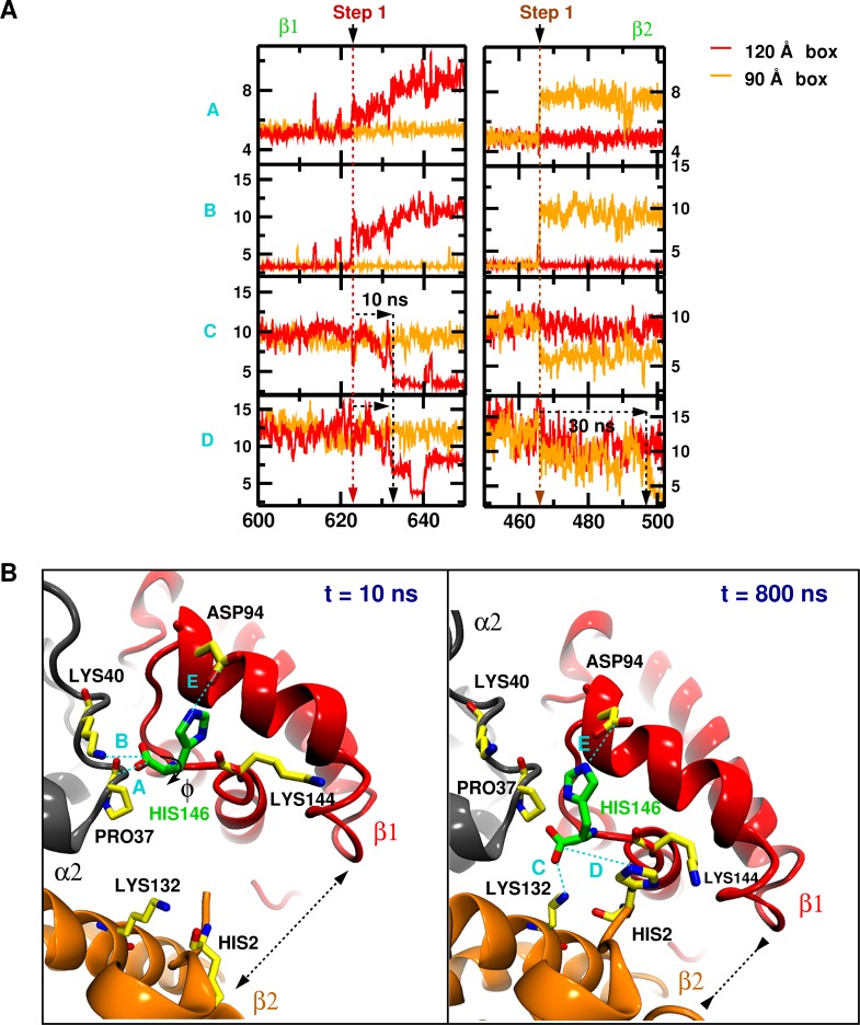 Figure 1—figure supplement 5.