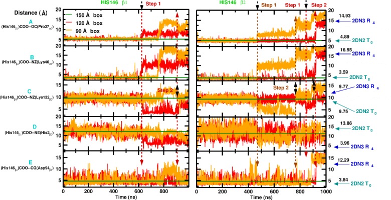 Figure 1—figure supplement 4.