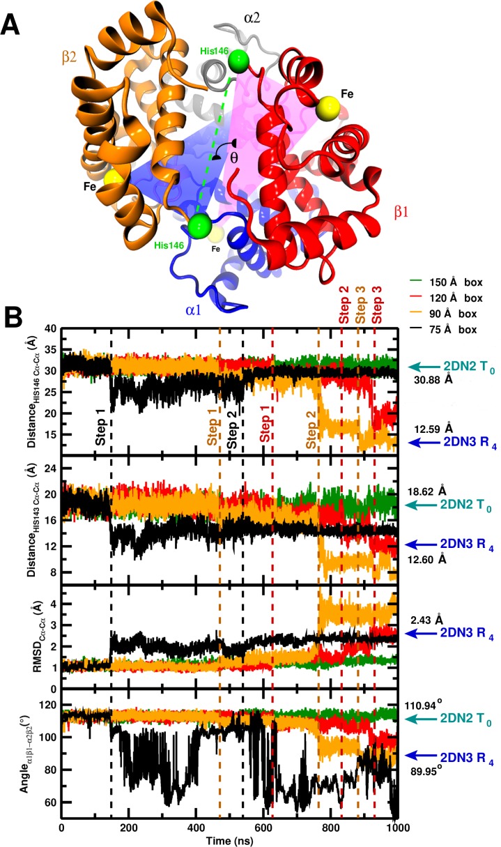 Figure 1—figure supplement 2.