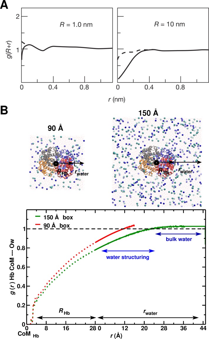 Figure 5—figure supplement 1.