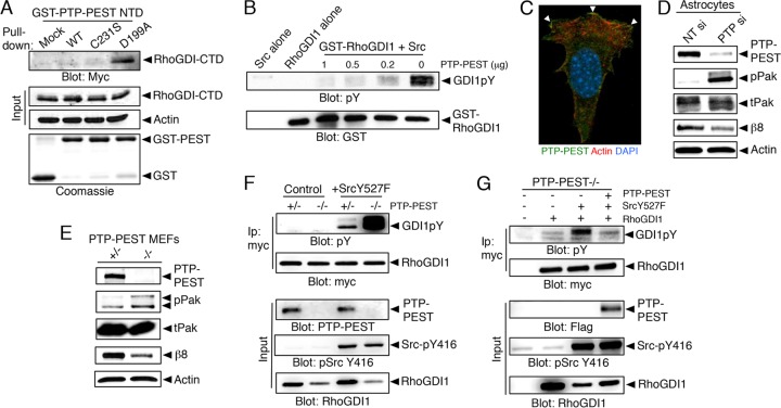 FIG 6