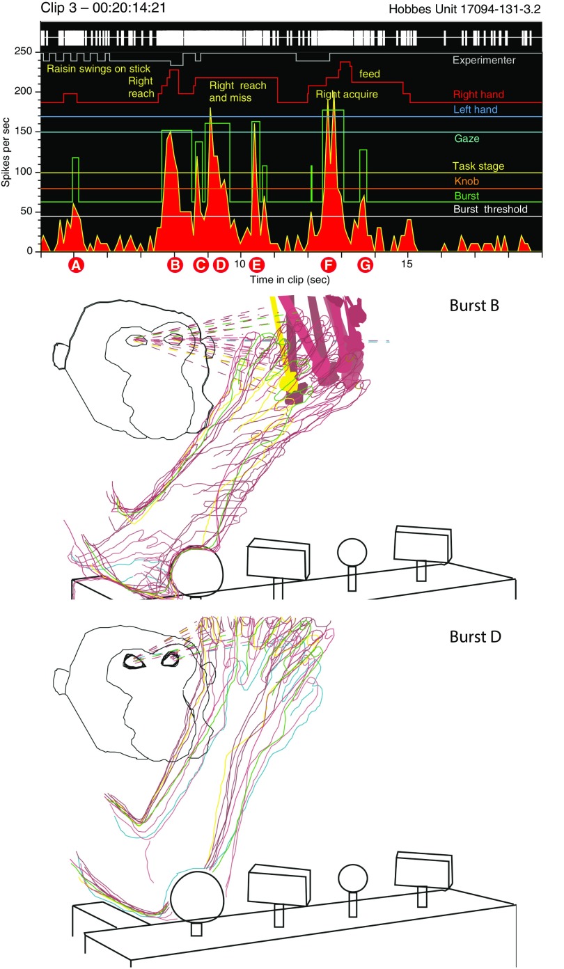 Fig. 1.