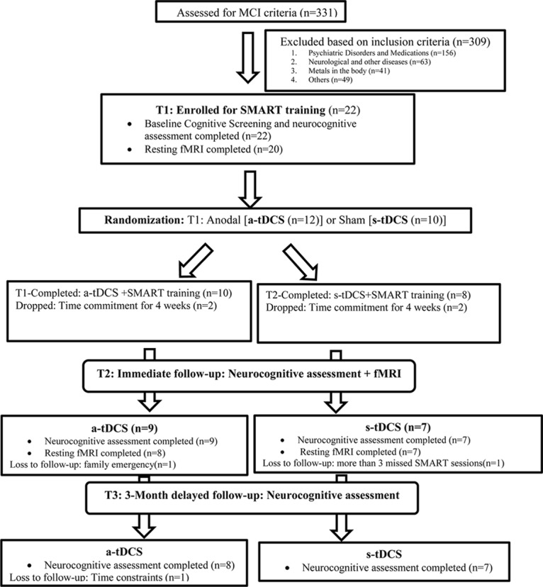 FIGURE 1