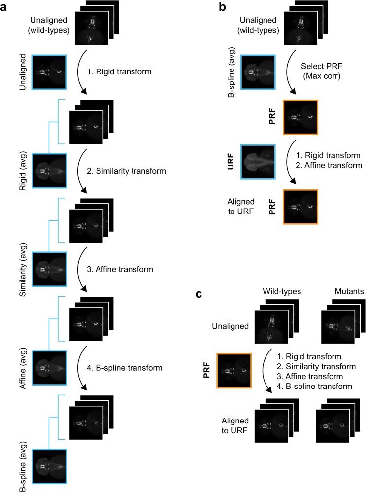 Figure 1—figure supplement 3.