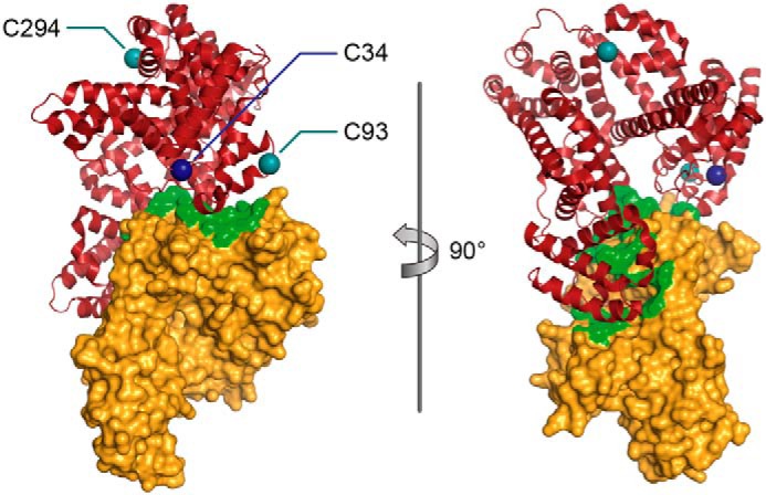 Figure 1.