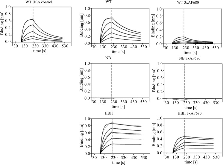 A new class of recombinant human albumin with multiple surface thiols ...