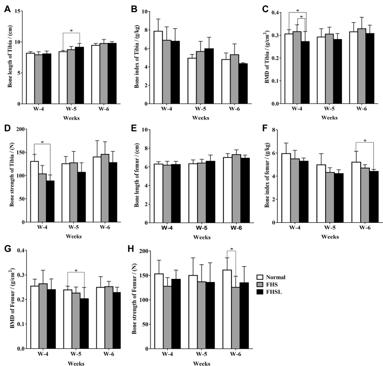 Figure 4