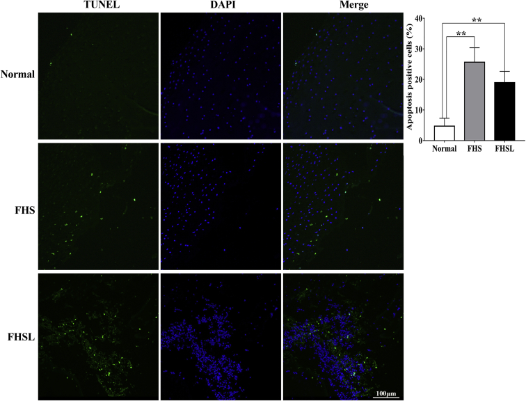 Figure 6