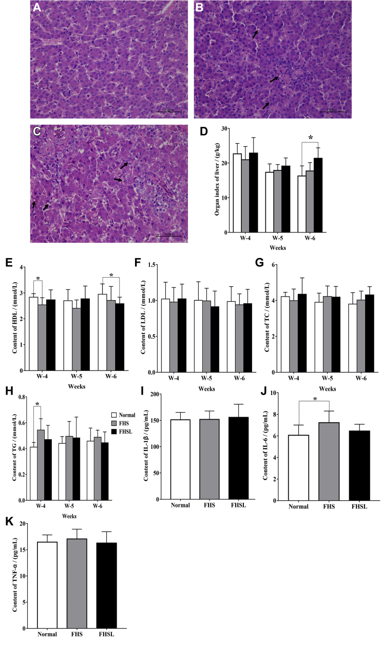 Figure 3