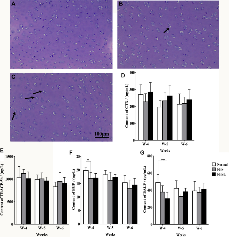 Figure 5