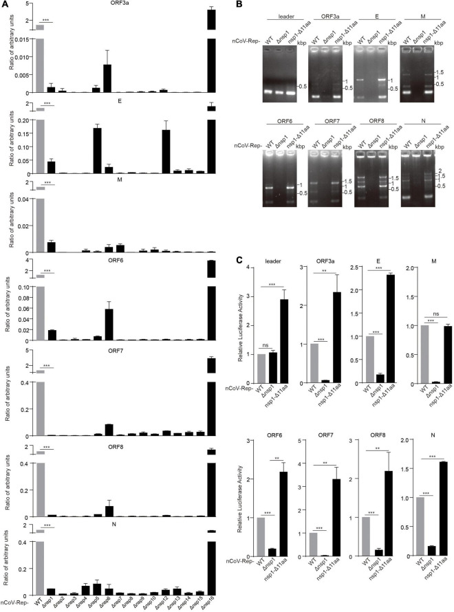 FIGURE 3