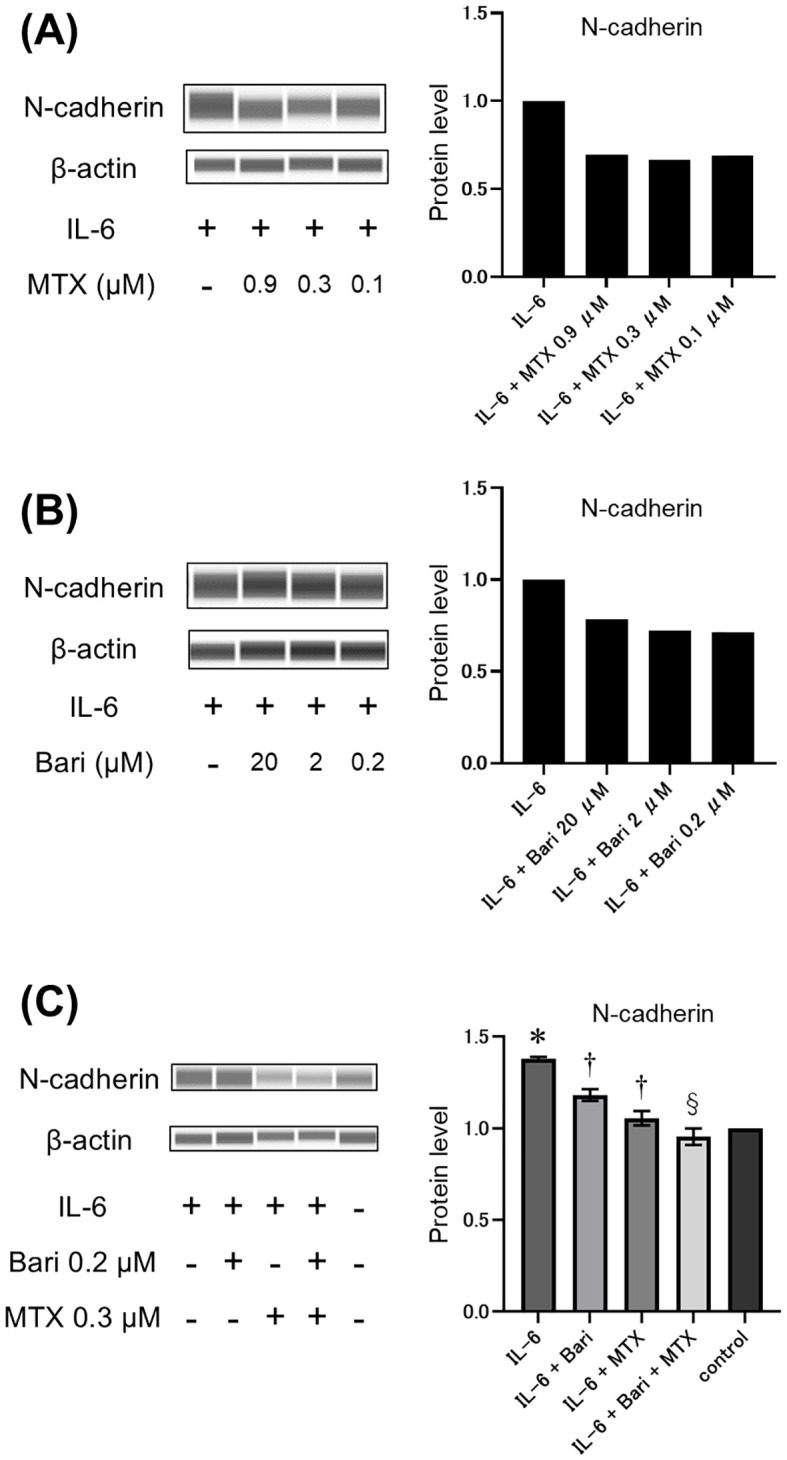 Figure 4