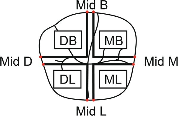 Fig. 3