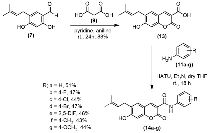 Scheme 2