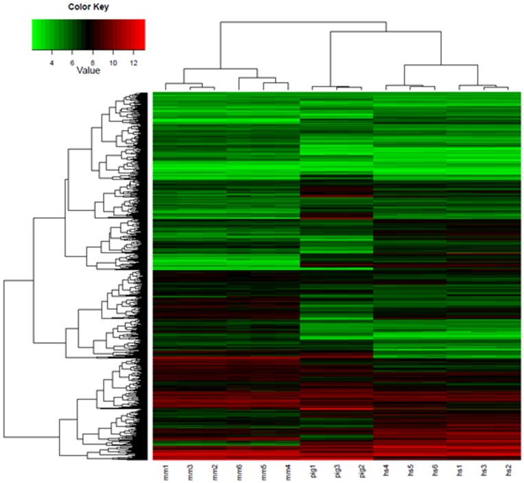 Figure 4