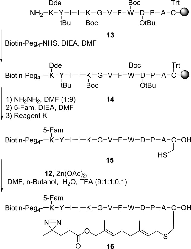 Scheme 2